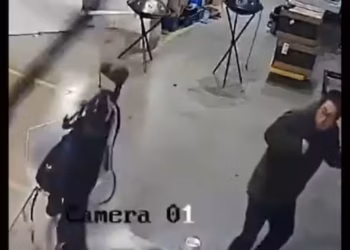 Robot Attack in Factory Raises Alarming Questions About AI Safety