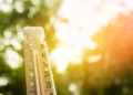 12 Months of Sizzling Heat: Global Temperatures Remain Above Dangerous Levels